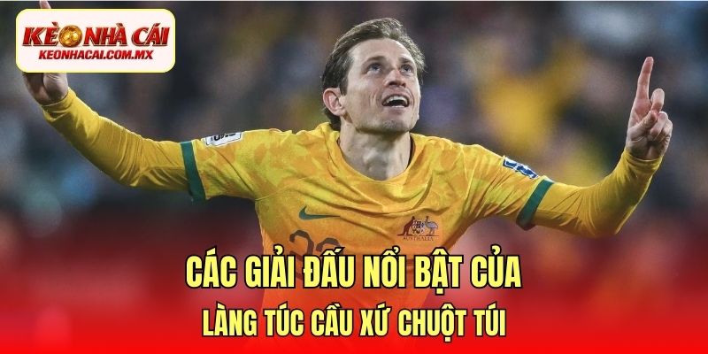 Các giải đấu nổi bật của làng túc cầu xứ chuột túi