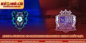 Trận Avispa Fukuoka Vs Sanfrecce Hiroshima 12h00 Ngày 29/4Trận Avispa Fukuoka Vs Sanfrecce Hiroshima 12h00 Ngày 29/4