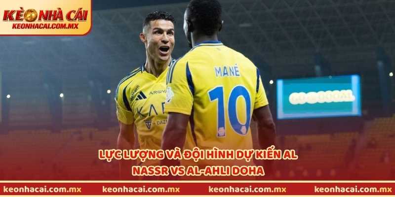 Lực lượng và đội hình dự kiến Al Nassr vs Al-Ahli Doha