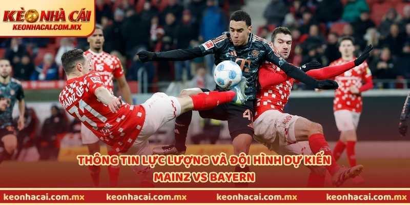 Thông tin lực lượng và đội hình dự kiến Mainz vs Bayern